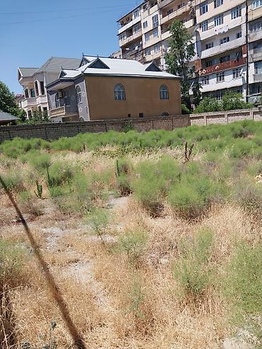 razin: 9 sot, Tikinti, Makler, Kupça (Çıxarış) — 4