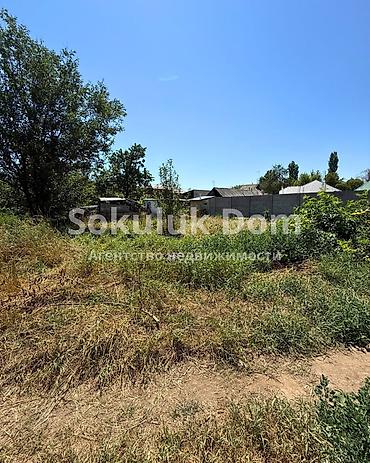 верона южный: 4 соток — 1