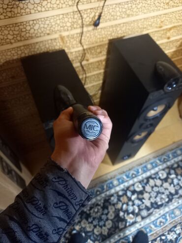 Musiqi mərkəzləri: Ağzı bağlı qutu. Dinamiki özəl edən tərəflər: 1. Güclü və təmiz səsi — 5