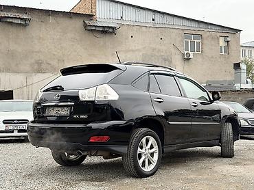Lexus: Lexus RX: 2008 г. — 4