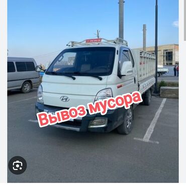 купить кролик декоративный: Вывоз мусора мусора вывоз вывоз мусор Вывоз мусора мусора вывоз вывоз