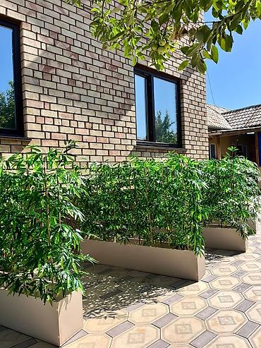 Декоративные цветы: Искусственные деревьяи цветы для вашего интерьера Адрес: г. Бишкек. ул — 16