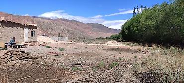 Продажа сельхоз предприятий: Продается плодоносящий сад, 4 га, рядом с городом Балыкчы, рядом — 16