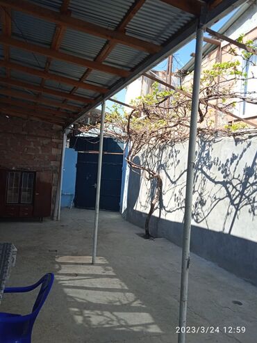 Həyət evləri və villaların satışı: Üstüörtülü talvarı olan həyət evi üzüm çardağı, - Talvar: metal -da lalafo.az — 2 Həyət evləri və villaların satışı: Üstüörtülü talvarı olan həyət evi üzüm çardağı, - Talvar: metal — 2