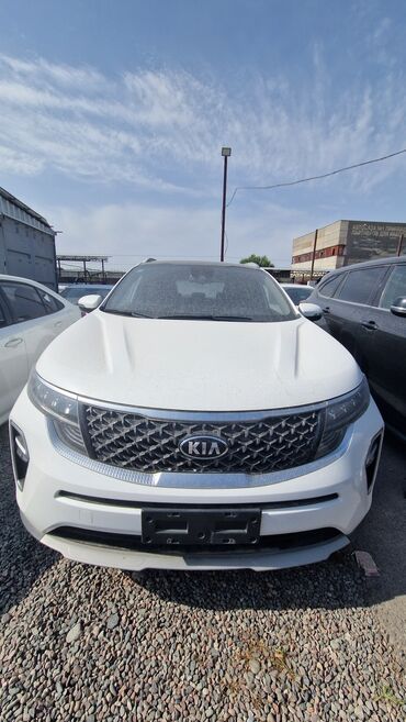 хонда сивик леви руль автамат хежибек серебристый: Kia : 2019 г., 1.6 л, Автоматические, Бензин, Кроссовер