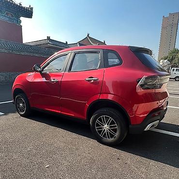 Microcar: Microcar : 2026 г., Электромобиль, Кроссовер — 9