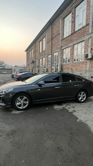 byd машина электромобиль: Hyundai Sonata: 2018 г., 2 л, Типтроник, Бензин, Седан