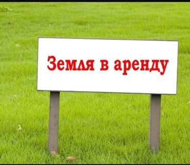дом для проведения дня рождения: Сдам участок для установки павильена под Фаст Фуд. Гриль или Крылышке