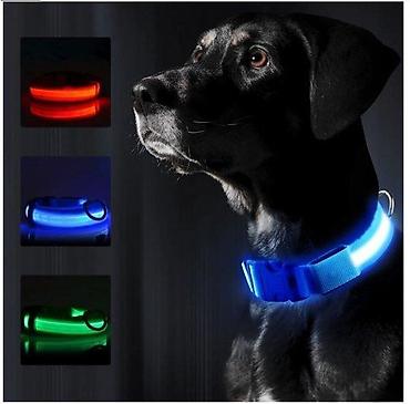 kapi za pilice: SVETLECA LED OGRLICA ZA PSE I LJUBIMCE USB PUNJENJE | Svetlece LED — 1