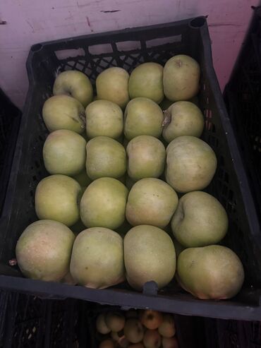 Яблоки: Яблоки Превосходное — 6