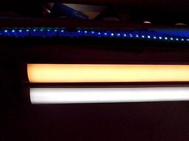Rasveta: Led Neonke tripl diode line 120w 1.2m sa armaturom. Led Neonke duple — 10