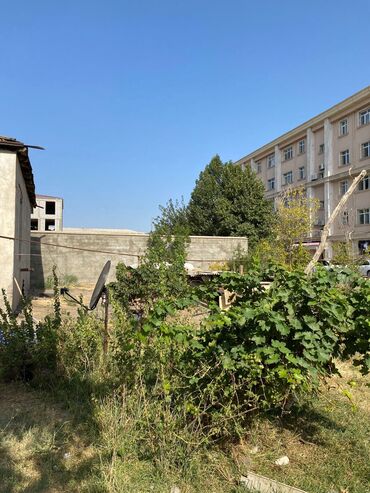 bahar qəsəbəsində evlər: 25 sot, Biznes üçün, Mülkiyyətçi, Kupça (Çıxarış)