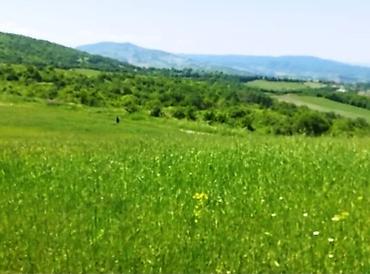 cıxarış nədir: 524 sot, Kənd təsərrüfatı, Mülkiyyətçi, Kupça (Çıxarış) — 8