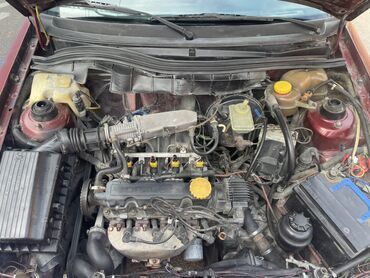 Opel: Opel Astra F sedan - Kuzov: 4 qapılı sedan, tünd qırmızı rəng - — 9