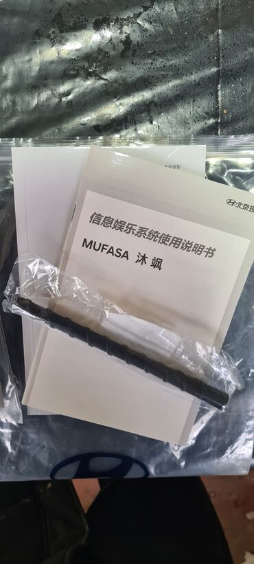 Автоэлектроника: Книжки и антенны на Hyundai Mufasa