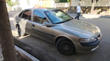 opel duqa: Opel Vectra: | 1996 il | 888888888 km