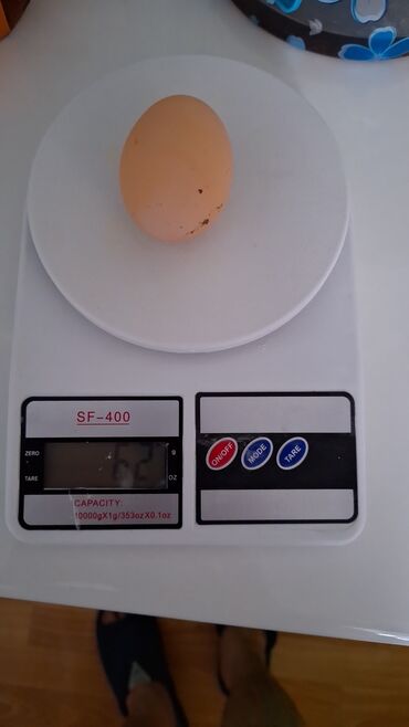 продажа утят: Срочно срочно продаю домашнее яйцо для пищи,очень вкусные и