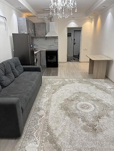 Долгосрочная аренда квартир: 2 комнаты, Собственник, Без подселения, С мебелью полностью — 3