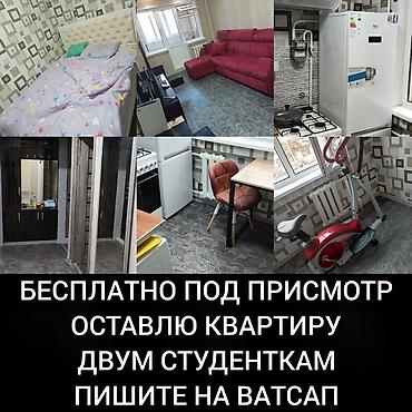 Не звоните! Улетаю в Казахстан оставлю квартиру только двум студенткам