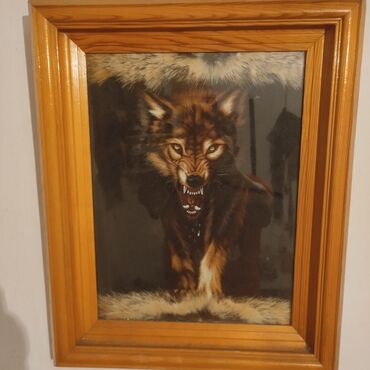 беби фокс цена бишкек: Картинка волк,с натуральной шкуры волка