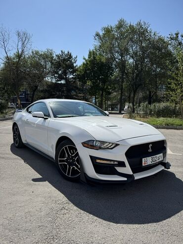 зимние шины на матиз купить: Продаю белый Мустанг GT500 2018 год 2,3 турбо бензин В хорошем