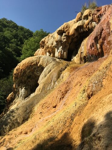 Bal: Kəlbəcər balı – dağ-çiçək və yaylaq balı, həmçinin çökə (linden) balı -da lalafo.az — 21 Bal: Kəlbəcər balı – dağ-çiçək və yaylaq balı, həmçinin çökə (linden) balı — 21