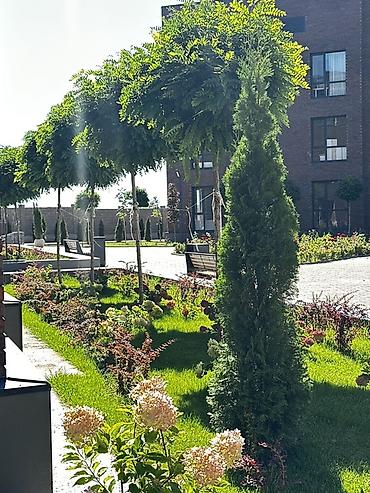Продажа квартир: Студия, 31 м², 3 этаж, Дизайнерский ремонт — 17