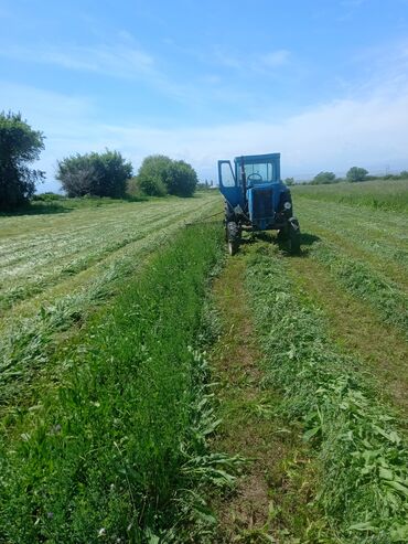 turbo az traktor belarus 82 xacmaz: Belarus 50 kacilka 190 dirmiqla satılır. senedleri qaydasindadi