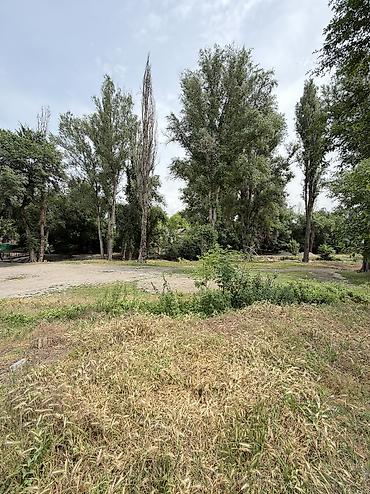 4: Вот более аккуратно и привлекательно оформленное объявление: 🏡 — 5