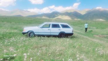 трактор 82 1: Mercedes-Benz W124: 1989 г., 2.5 л, Дизель, Универсал — 2