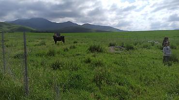 Продажа участков: 5 соток, Для строительства — 7