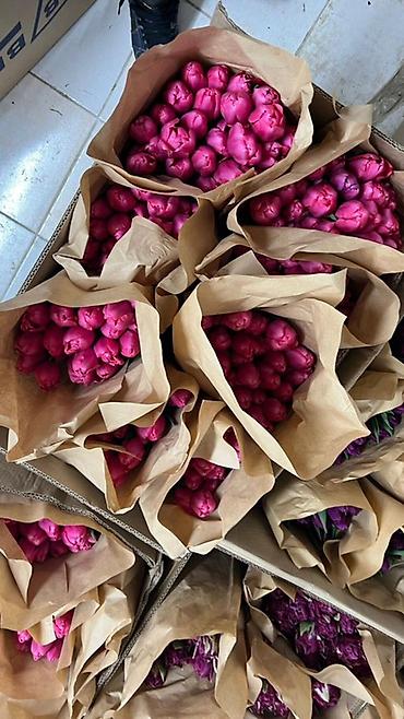 Букеты из живых цветов: Тюльпаны в букете-миксе - Срезанные тюльпаны в крафт-упаковке — 4