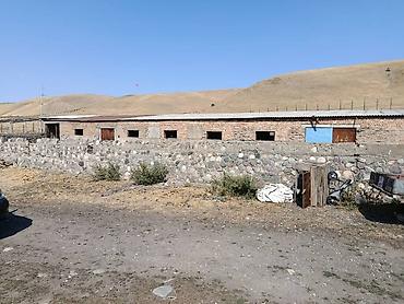 Продажа участков: 120 соток, Для строительства, Красная книга — 3