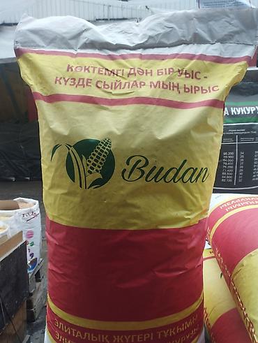 Кукуруза: Сапаттуу жугору уруктар 🌽🌽🌽келишим баада тазалыгына жана чыгышына — 4