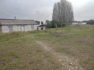 60 соток, Для бизнеса — 3