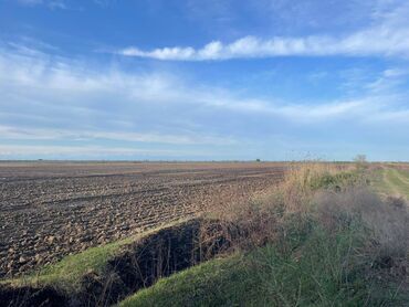 Kommersiya daşınmaz əmlakının satışı: 150 HEKTAR ƏRAZİ satılır İMİŞLİDƏ 110 HEKTAR Mülkiyyət Əkin — 17