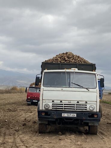 бак дизель: Грузовик, Дубль, Б/у