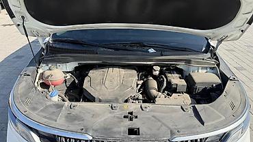 Kia: Kia Carnival: 2021 г., 2.2 л, Дизель — 29