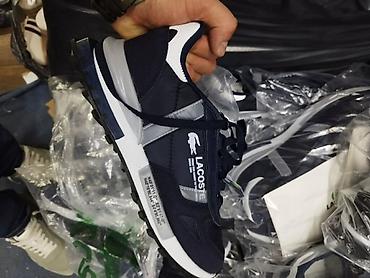 air force pertle: Lacoste patike – lifestyle/sports model

Od 40 do 44br

4.800 din — 4
