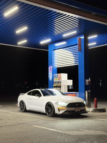 Ford: Ford Mustang: 2020 г., 2.3 л, Автомат, Бензин, Купе — 1