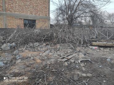 прием орехов: Дрова Орех, Самовывоз