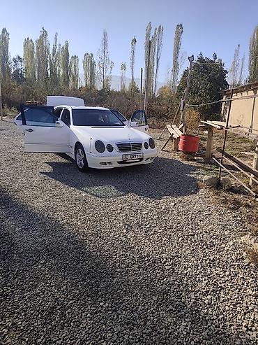 веросса купить: Mercedes-Benz E-Class: 2001 г., 3.2 л, Автомат, Бензин, Седан — 8