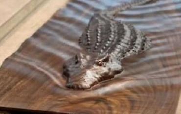 Мебель на заказ: Мебель на заказ, Стулья — 20