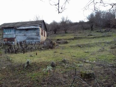 xacmaz qusarcay kendi: 23 sot, Kənd təsərrüfatı