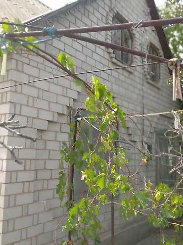 интернациональное: Продаётся дачный дом с участком. 5соток. - Дом кирпичный, свет вода — 7