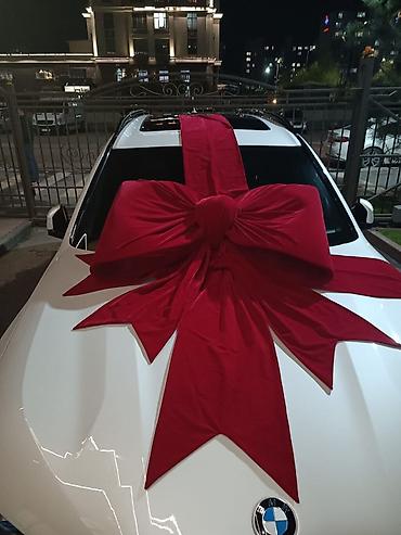 Организация мероприятий: Организация мероприятий | Оформление мероприятий, Гелевые шары, Букеты, флористика — 7