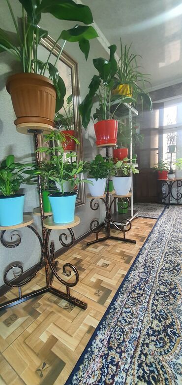 Декоративные цветы: Гүл койгучтар сатылат.биринчи ярус 52см,экинчи ярус 1м05см. баасы — 8