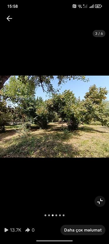 boş torpaq: 13 sot, Tikinti, Kupça (Çıxarış) — 1