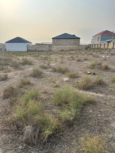 Torpaq sahələrinin satışı: 30 sot, Kənd təsərrüfatı, Makler, Kupça (Çıxarış), Texniki pasport -da lalafo.az — 1 Torpaq sahələrinin satışı: 30 sot, Kənd təsərrüfatı, Makler, Kupça (Çıxarış), Texniki pasport — 1