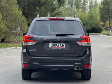Subaru: Subaru Forester: 2020 г., 2.5 л, Вариатор, Бензин, Кроссовер — 6